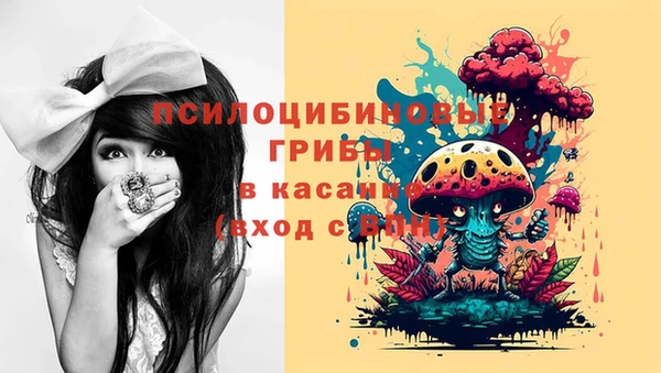 бошки Баксан